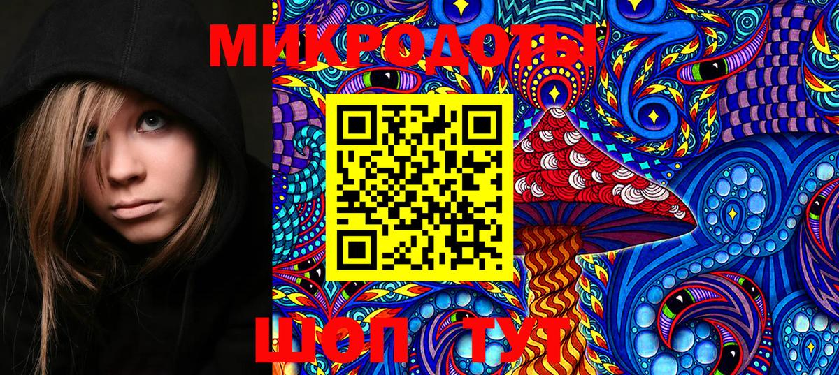 Псилоцибиновые грибы Psilocybine cubensis  Вход с VPN  Северобайкальск 